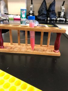 strawberry liquid in a testtube