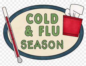 cold and flu season photo