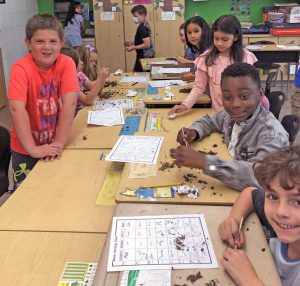 students with owl pellets